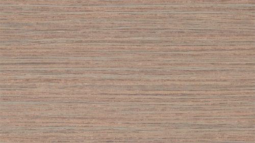 Oralia 111440